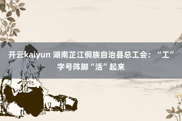 开云kaiyun 湖南芷江侗族自治县总工会：“工”字号阵脚“活”起来