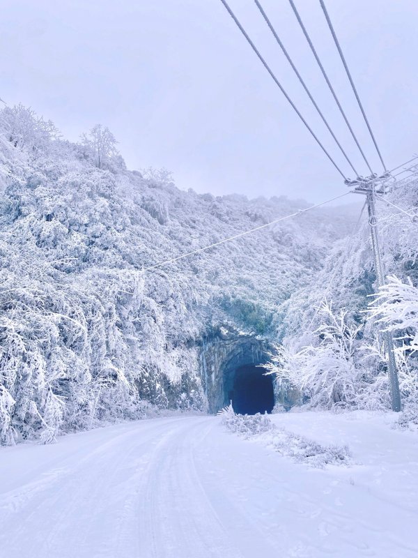 kaiyun开云官方网站 无须去东北, 就能在重庆看雪❄️啦❗️