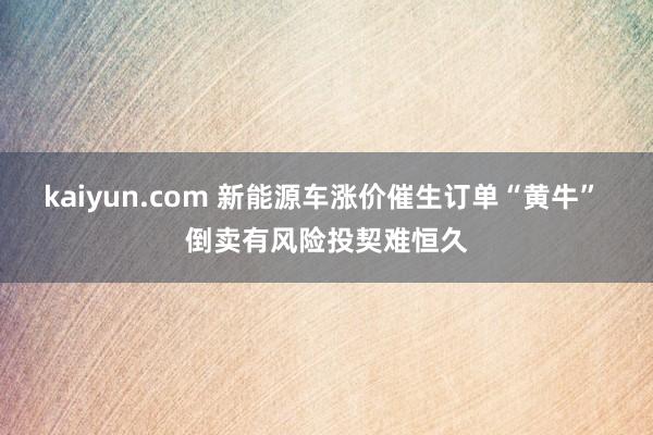 kaiyun.com 新能源车涨价催生订单“黄牛” 倒卖有风险投契难恒久