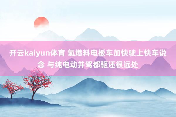 开云kaiyun体育 氢燃料电板车加快驶上快车说念 与纯电动并驾都驱还很远处