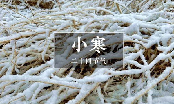 kaiyun.com 1月6日小寒，领导：吃好3样，喝好3样，作念好3样，健健康康过新年