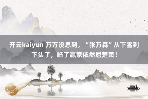 开云kaiyun 万万没思到，“张万森”从下雪到下头了，临了赢家依然屈楚萧！