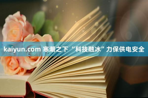 kaiyun.com 寒潮之下 “科技融冰”力保供电安全