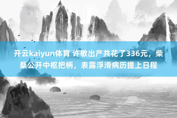 开云kaiyun体育 许敏出产共花了336元，柴桑公开中枢把柄，表露浮滑病历提上日程