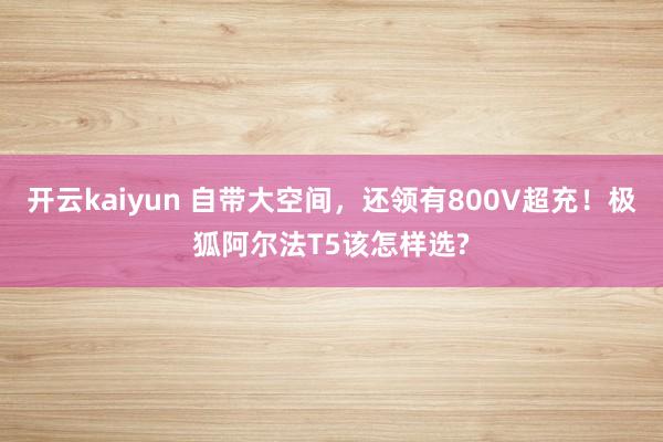 开云kaiyun 自带大空间，还领有800V超充！极狐阿尔法T5该怎样选?