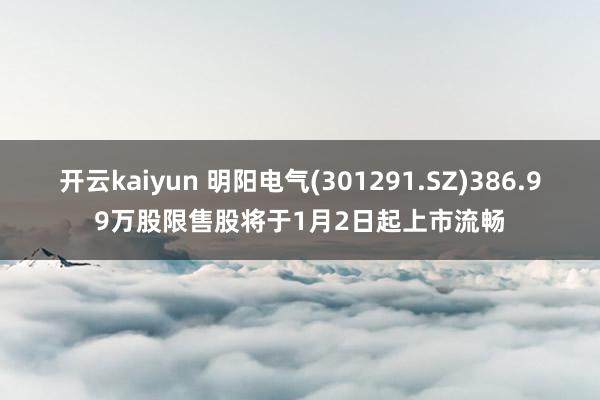 开云kaiyun 明阳电气(301291.SZ)386.99万股限售股将于1月2日起上市流畅