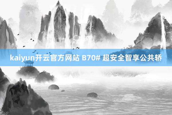 kaiyun开云官方网站 B70# 超安全智享公共轿