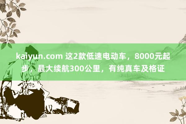 kaiyun.com 这2款低速电动车，8000元起步，最大续航300公里，有纯真车及格证