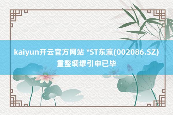 kaiyun开云官方网站 *ST东瀛(002086.SZ)重整绸缪引申已毕