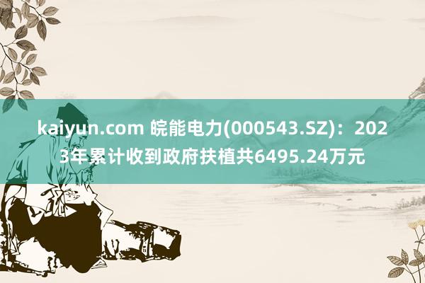 kaiyun.com 皖能电力(000543.SZ)：2023年累计收到政府扶植共6495.24万元