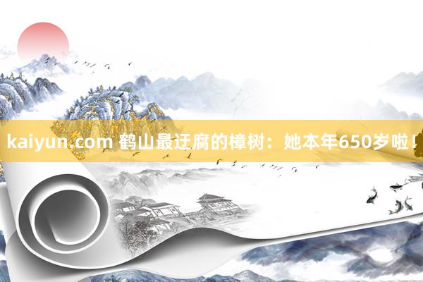 kaiyun.com 鹤山最迂腐的樟树：她本年650岁啦！