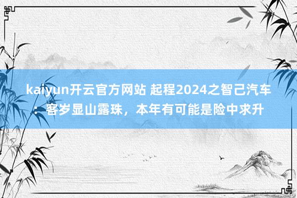 kaiyun开云官方网站 起程2024之智己汽车：客岁显山露珠，本年有可能是险中求升