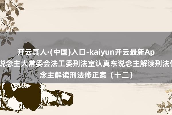 开云真人·(中国)入口-kaiyun开云最新App下载 天下东说念主大常委会法工委刑法室认真东说念主解读刑法修正案（十二）