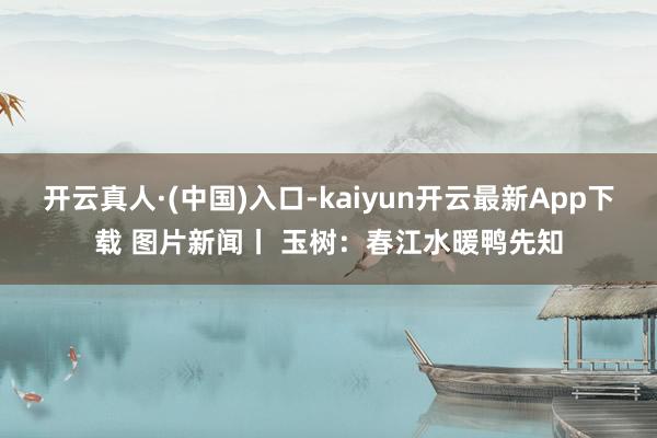 开云真人·(中国)入口-kaiyun开云最新App下载 图片新闻丨 玉树：春江水暖鸭先知