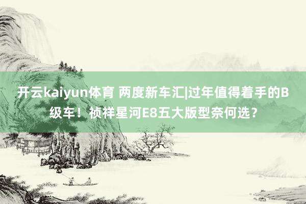 开云kaiyun体育 两度新车汇|过年值得着手的B级车！祯祥星河E8五大版型奈何选？