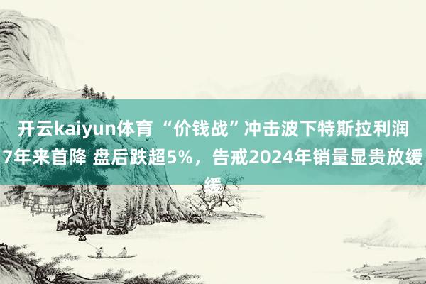 开云kaiyun体育 “价钱战”冲击波下特斯拉利润7年来首降 盘后跌超5%，告戒2024年销量显贵放缓