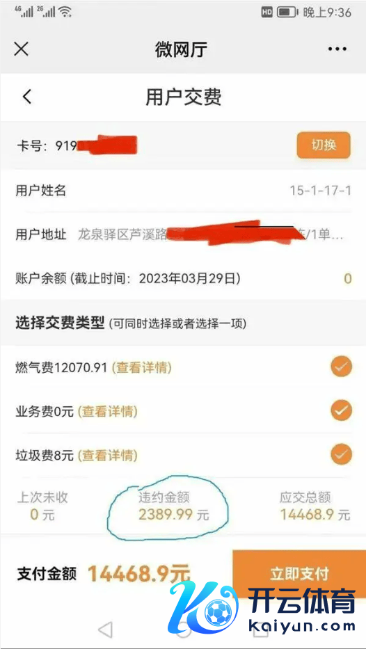 开云kaiyun家里的老东谈主会再行疆到成王人过冬-开云真人·(中国)入口-kaiyun开云最新App下载