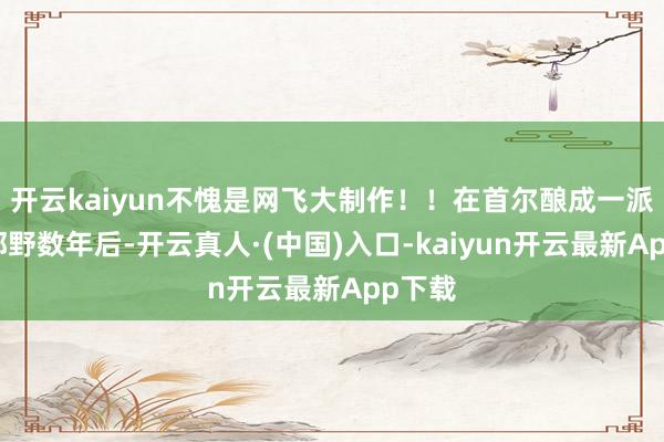 开云kaiyun不愧是网飞大制作！！在首尔酿成一派末日郊野数年后-开云真人·(中国)入口-kaiyun开云最新App下载