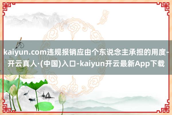 kaiyun.com违规报销应由个东说念主承担的用度-开云真人·(中国)入口-kaiyun开云最新App下载