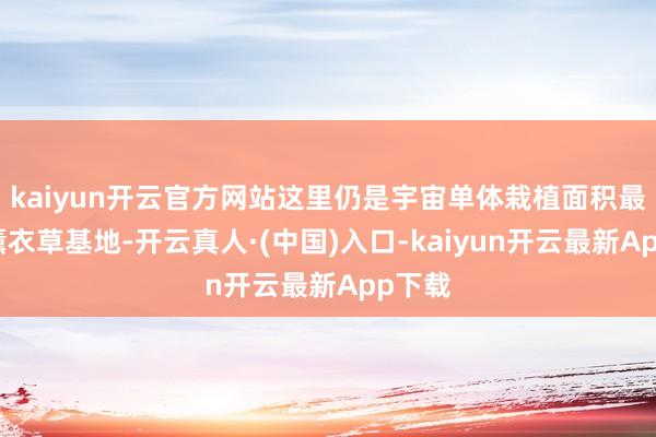 kaiyun开云官方网站这里仍是宇宙单体栽植面积最大的薰衣草基地-开云真人·(中国)入口-kaiyun开云最新App下载