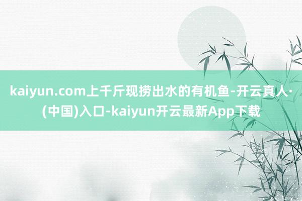 kaiyun.com上千斤现捞出水的有机鱼-开云真人·(中国)入口-kaiyun开云最新App下载