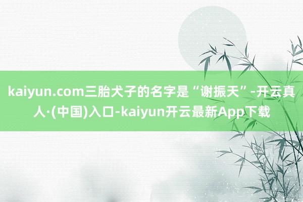 kaiyun.com三胎犬子的名字是“谢振天”-开云真人·(中国)入口-kaiyun开云最新App下载