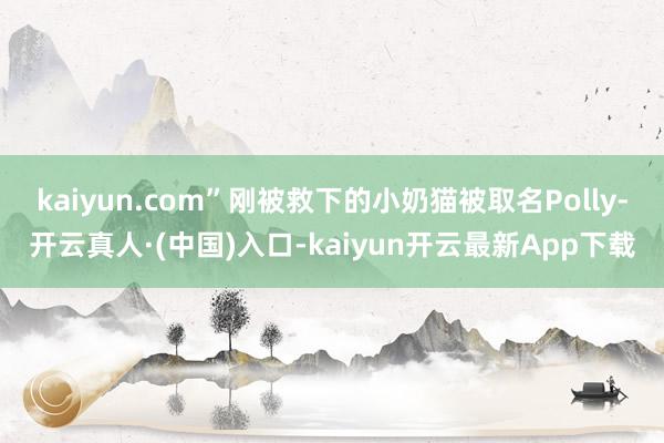 kaiyun.com”刚被救下的小奶猫被取名Polly-开云真人·(中国)入口-kaiyun开云最新App下载