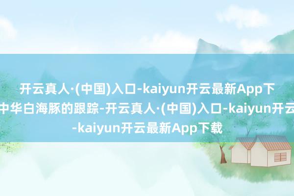 开云真人·(中国)入口-kaiyun开云最新App下载笔据咱们对中华白海豚的跟踪-开云真人·(中国)入口-kaiyun开云最新App下载