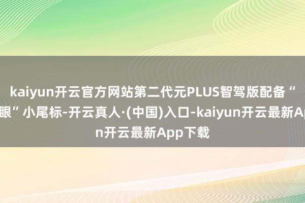 kaiyun开云官方网站第二代元PLUS智驾版配备“天使之眼”小尾标-开云真人·(中国)入口-kaiyun开云最新App下载