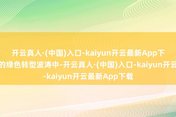 开云真人·(中国)入口-kaiyun开云最新App下载在汽车行业的绿色转型波涛中-开云真人·(中国)入口-kaiyun开云最新App下载